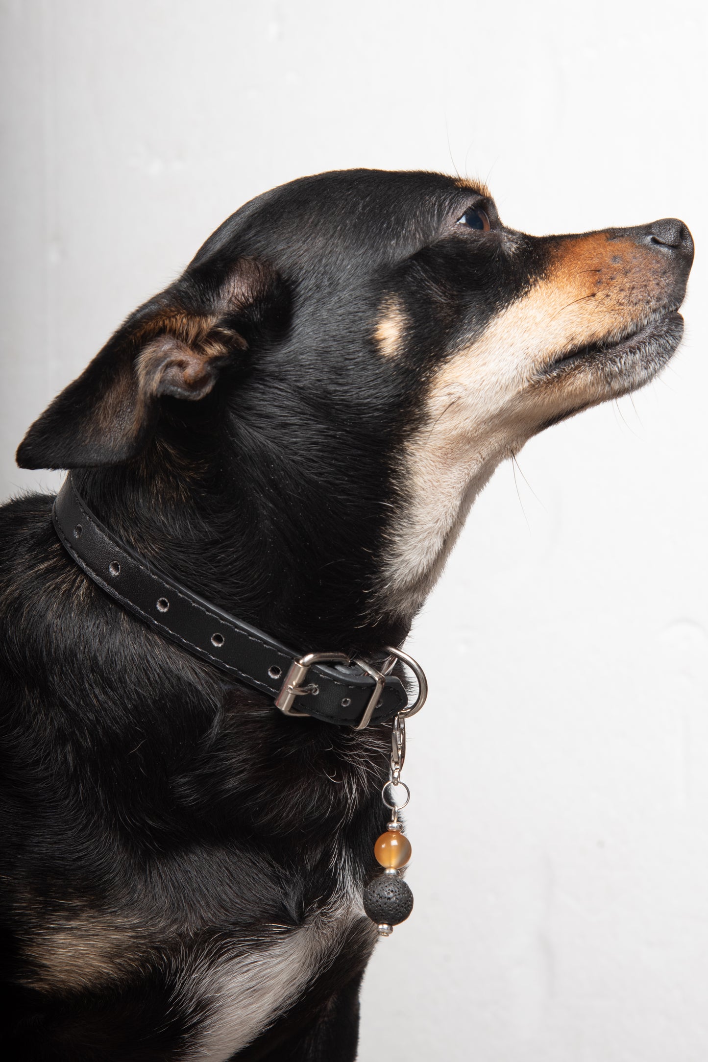 Ciondolo per cane pietra dura e pietra lavica
