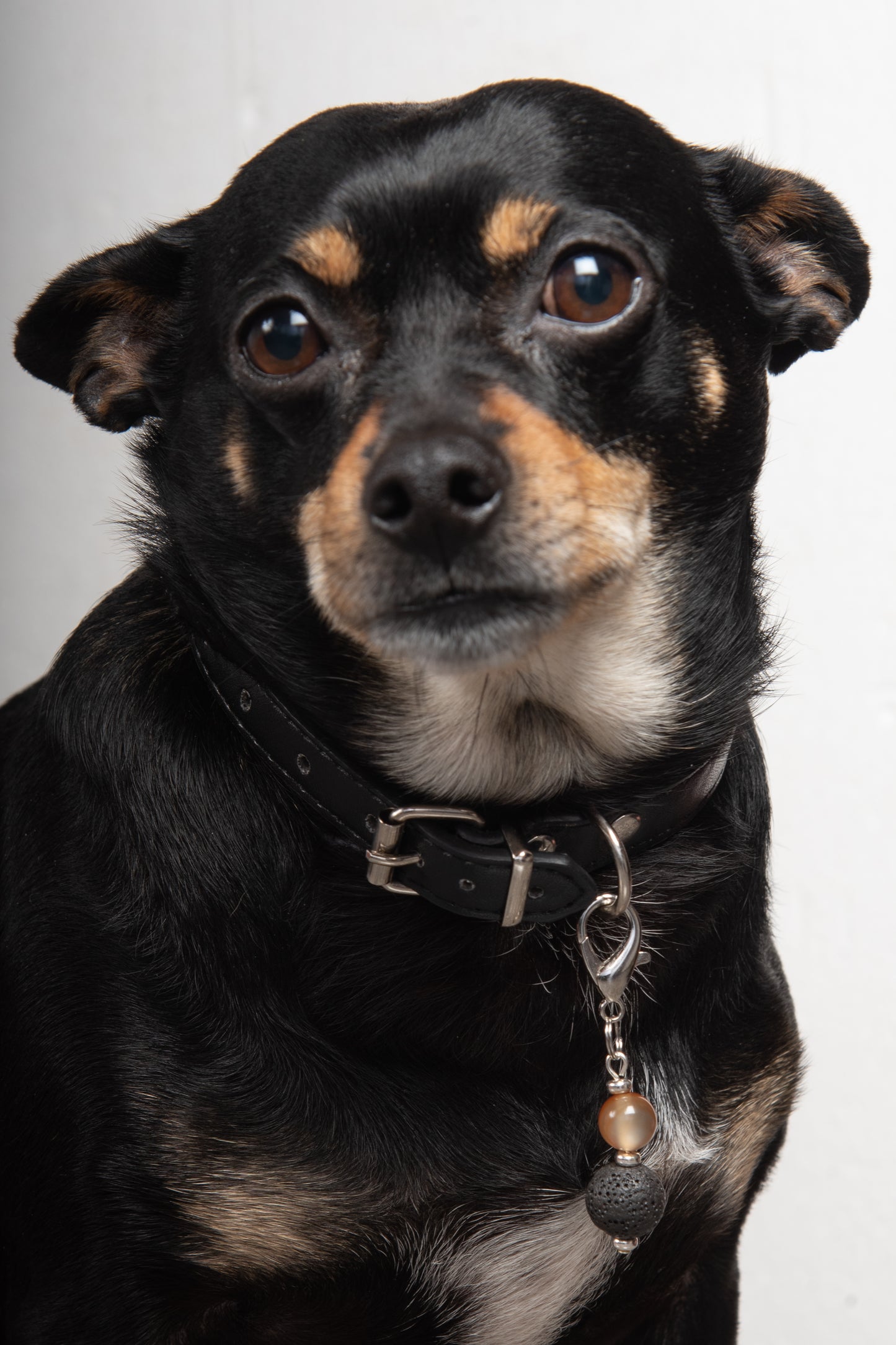 Ciondolo per cane pietra dura e pietra lavica