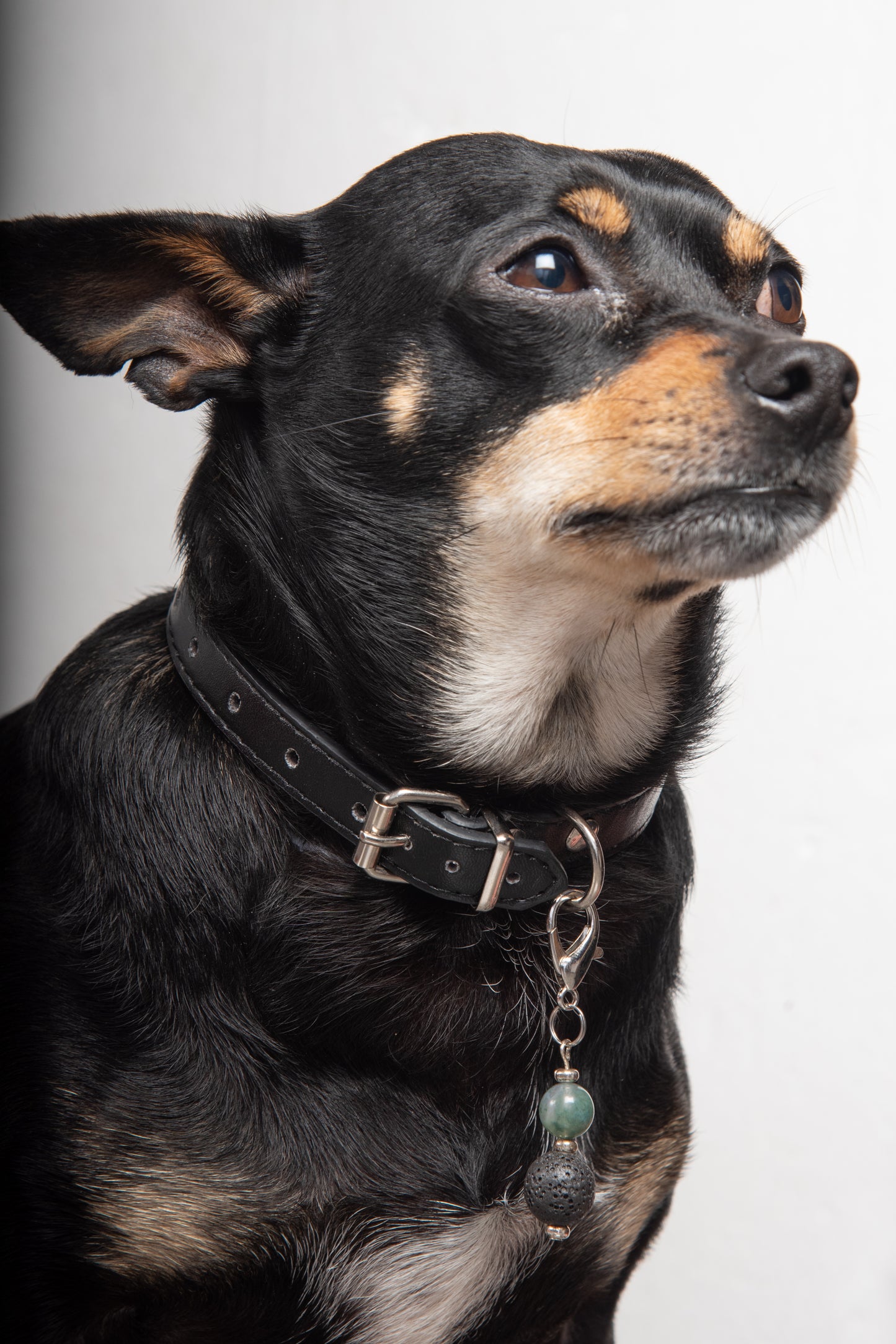 Ciondolo per cane pietra dura e pietra lavica