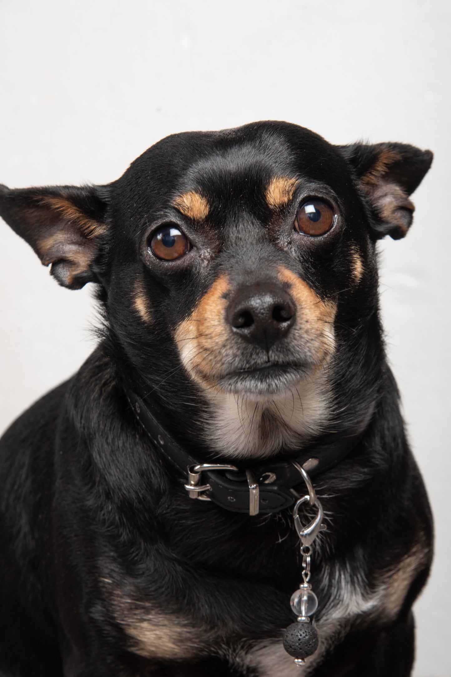 Ciondolo per cane pietra dura e pietra lavica