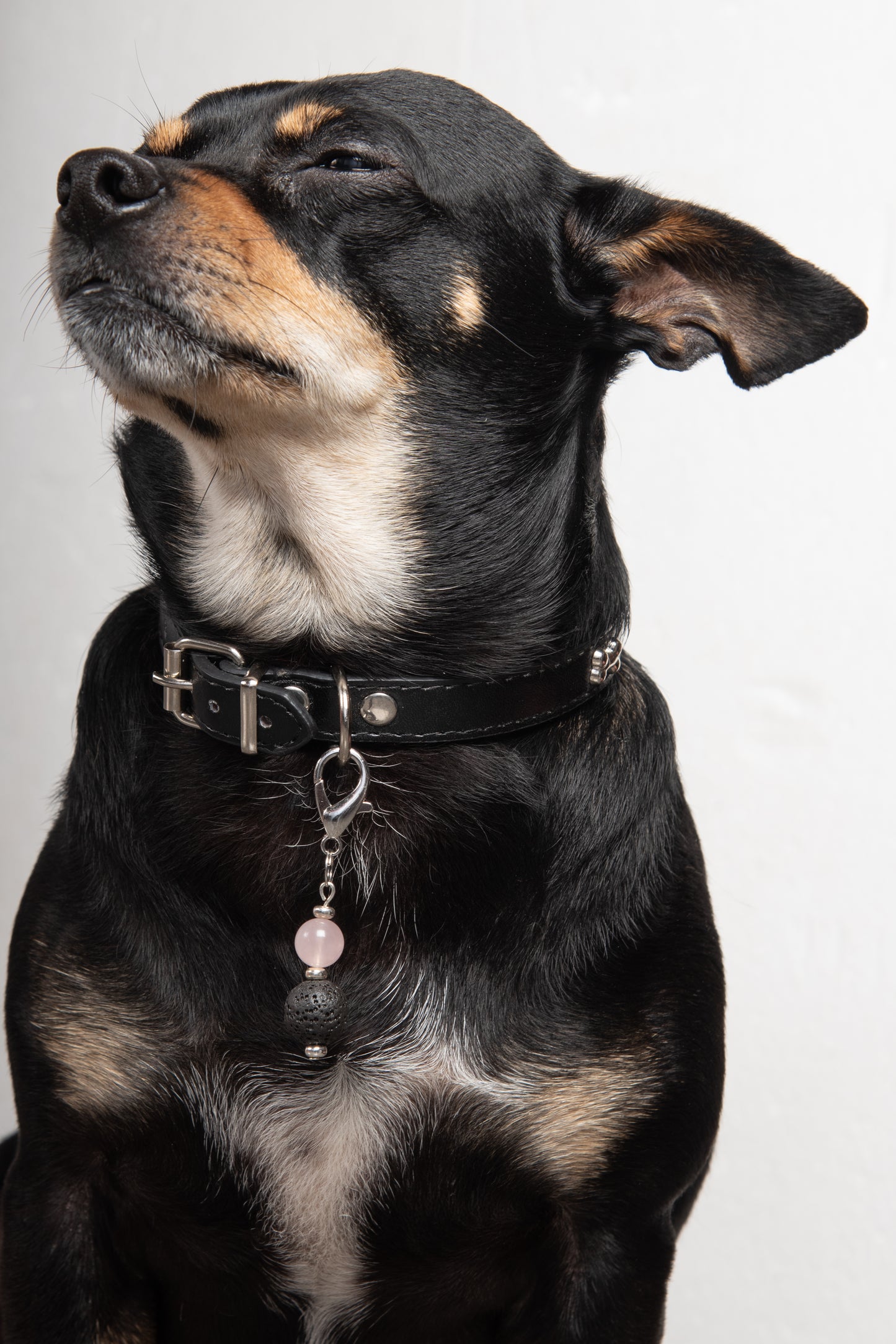Ciondolo per cane pietra dura e pietra lavica