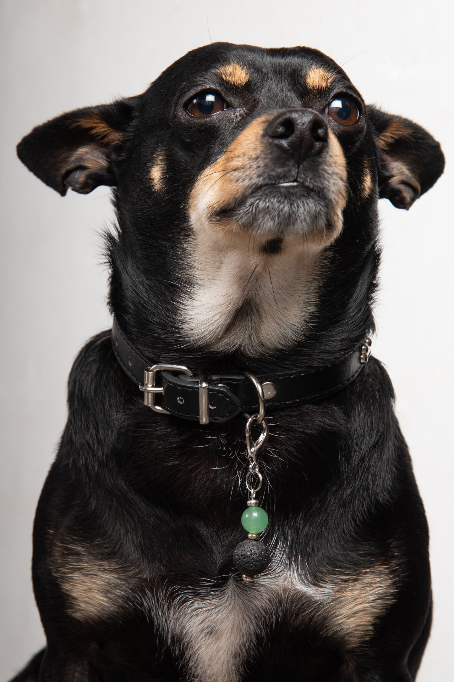 Ciondolo per cane pietra dura e pietra lavica