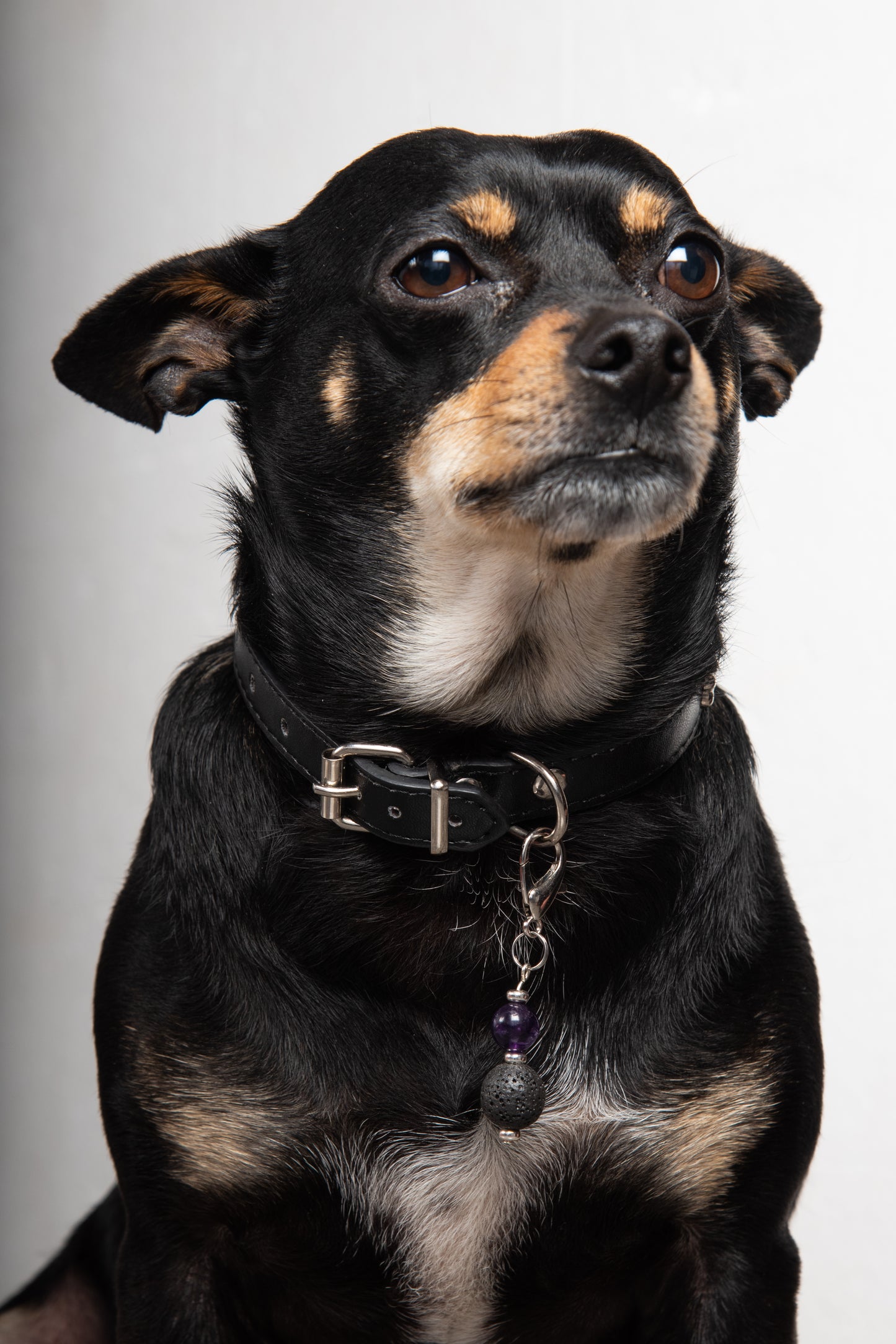 Ciondolo per cane pietra dura e pietra lavica