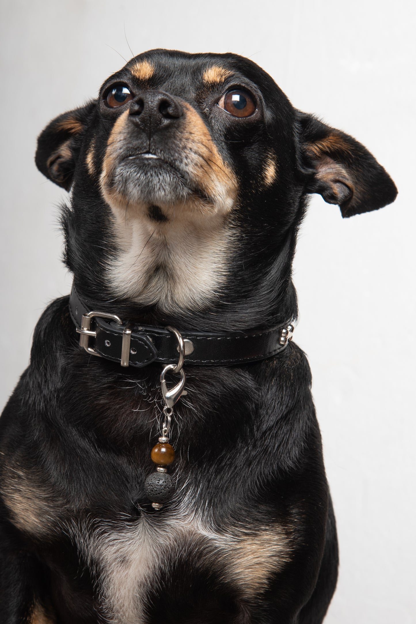 Ciondolo per cane pietra dura e pietra lavica