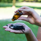 Mala per la meditazione in Pietra lavica e Cristallo di rocca
